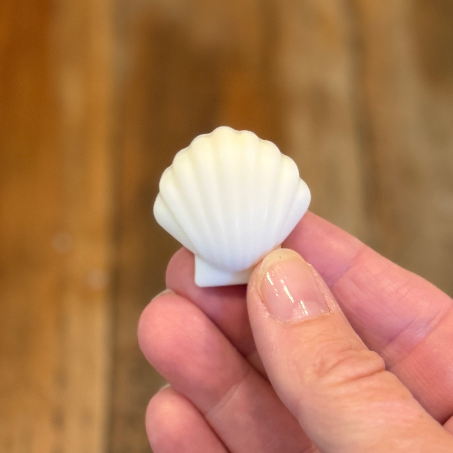 Small white shell held in a hand against a blurred wooden background